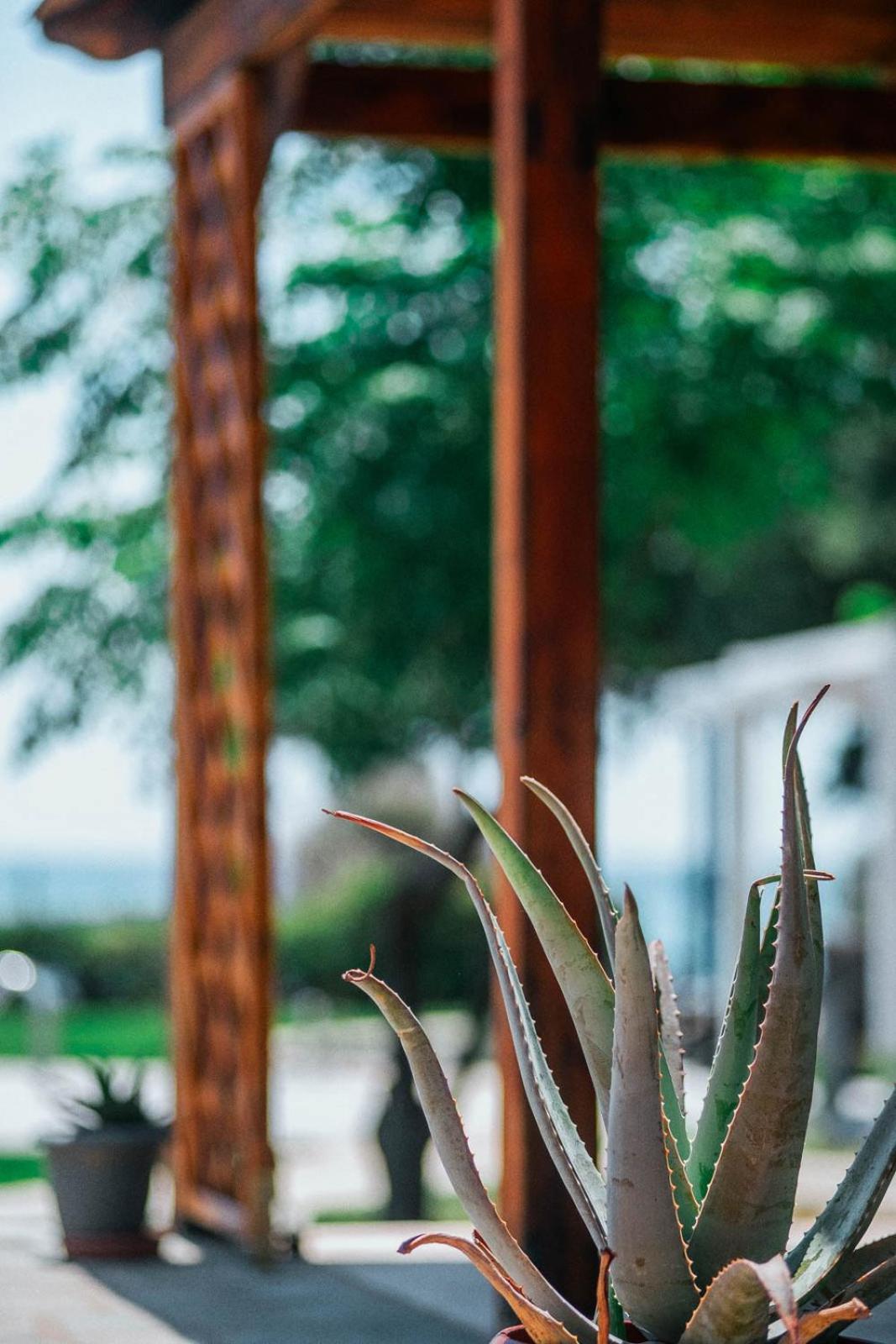 Villa Odyssea Dikella Ngoại thất bức ảnh